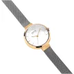 Bering Classic női karóra 14631-024