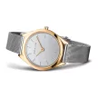 Bering 17031-010