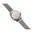 Bering 17031-010