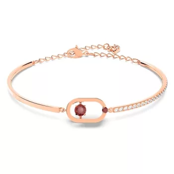 5620553 Swarovski Karperec