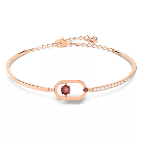 5620553 Swarovski Karperec