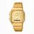 Casio Retro unisex karóra AQ-240EG-9AEf