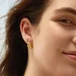 Ania Haie fülbevaló E072-03G